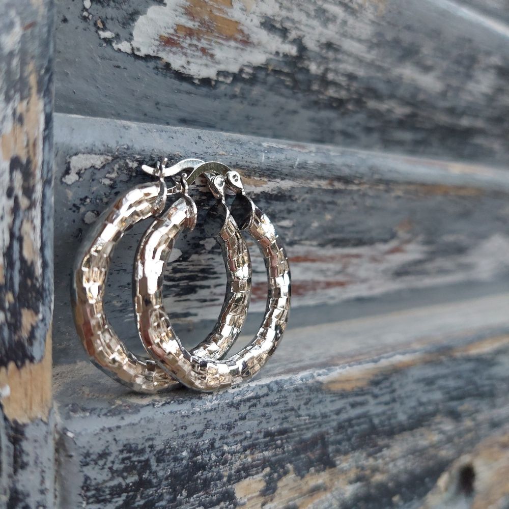 Silver-Hoops-1.jpg